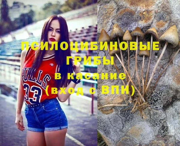 крисы Балабаново
